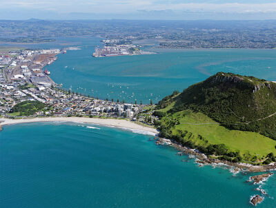 Tauranga -  Cleaning Services