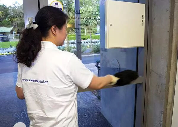 Dusting Window